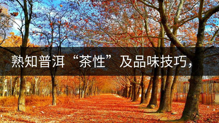 熟知普洱“茶性”及品味技巧，方能品出好茶