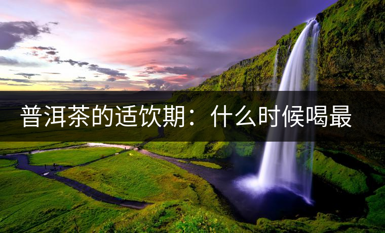 普洱茶的適飲期：什么時(shí)候喝最好？生茶和熟茶各有講究！