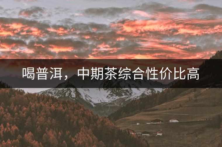 喝普洱，中期茶綜合性價比高