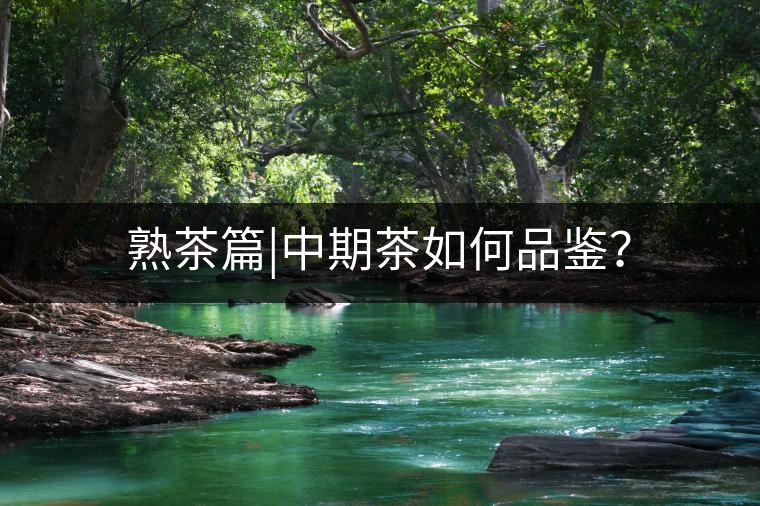 熟茶篇|中期茶如何品鑒？