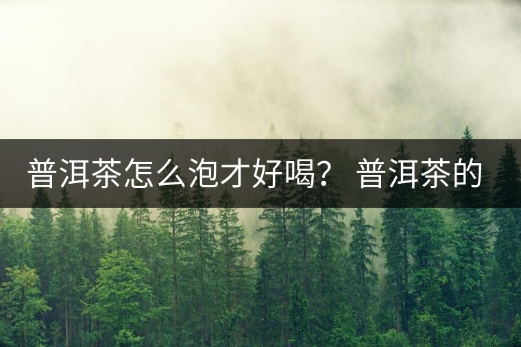 普洱茶怎么泡才好喝？ 普洱茶的沖泡技巧！
