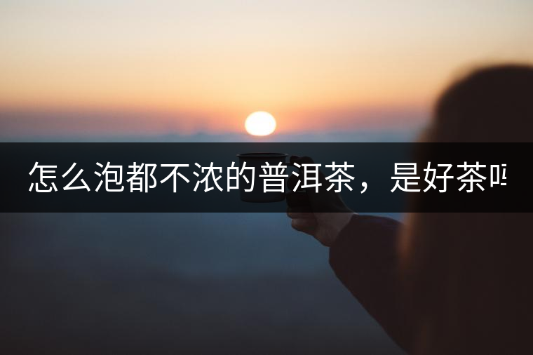 怎么泡都不濃的普洱茶，是好茶嗎？