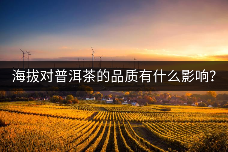 海拔對(duì)普洱茶的品質(zhì)有什么影響？