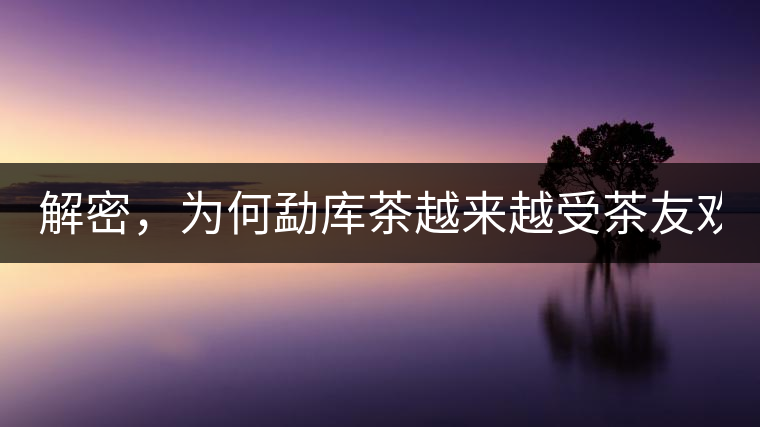 解密，為何勐庫茶越來越受茶友歡迎！