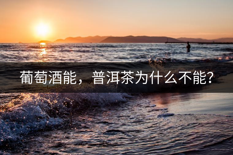 葡萄酒能，普洱茶為什么不能？
