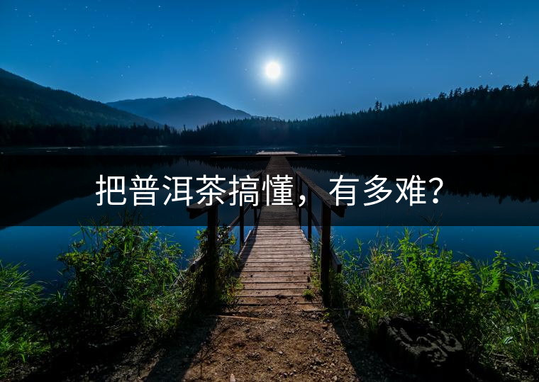 把普洱茶搞懂，有多難？