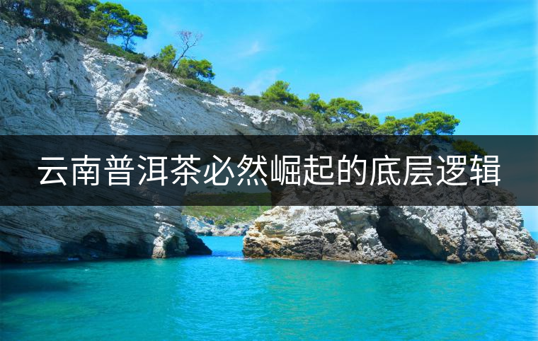 云南普洱茶必然崛起的底層邏輯