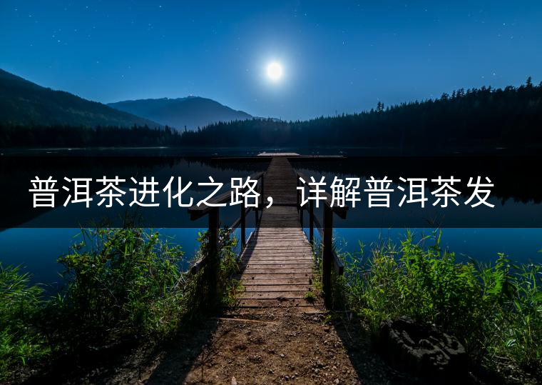 普洱茶進(jìn)化之路，詳解普洱茶發(fā)展的三大重要階段