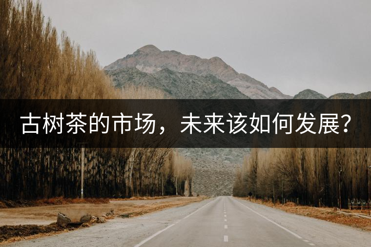 古樹茶的市場(chǎng)，未來該如何發(fā)展？