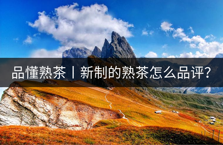品懂熟茶丨新制的熟茶怎么品評(píng)？