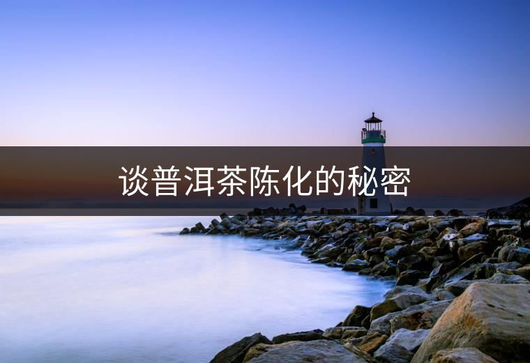 談普洱茶陳化的秘密