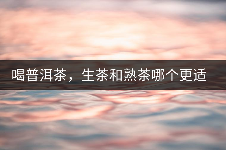 喝普洱茶，生茶和熟茶哪個更適合你？