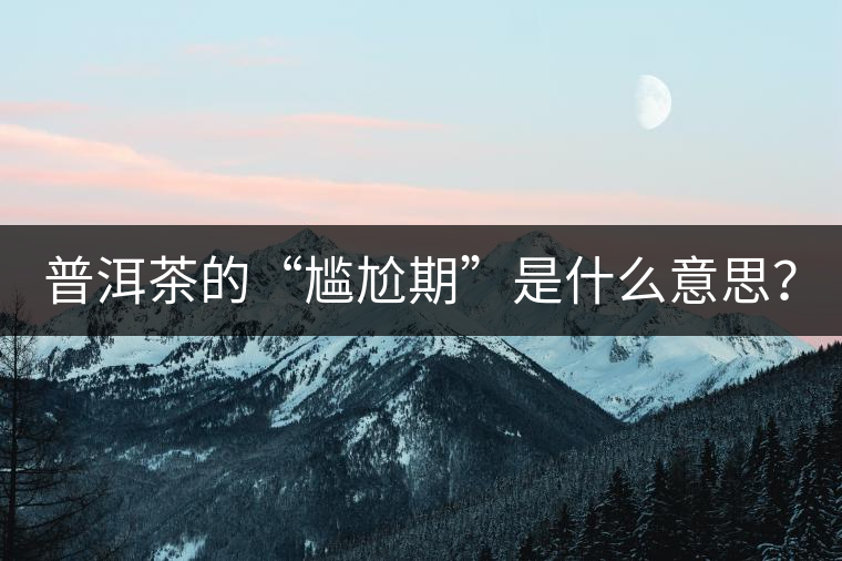 普洱茶的“尷尬期”是什么意思？