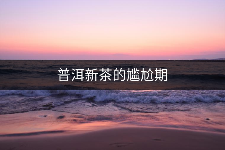 普洱新茶的尷尬期 普洱新茶的尷尬期