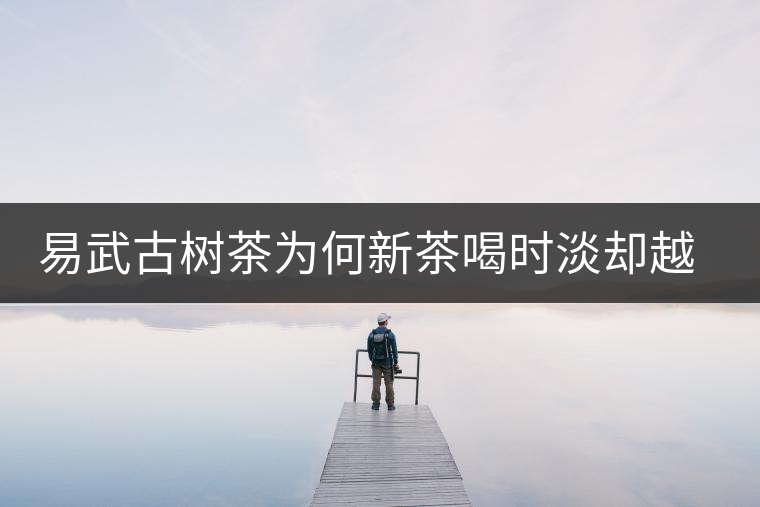 易武古樹茶為何新茶喝時淡卻越放越濃？易武古樹茶有什么投資價值?