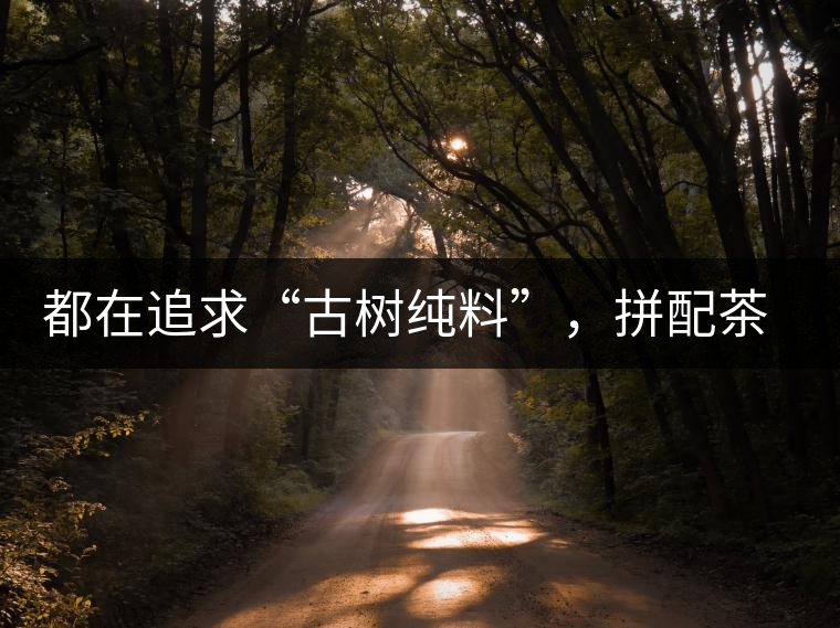 都在追求“古樹純料”，拼配茶真的不如純料的？