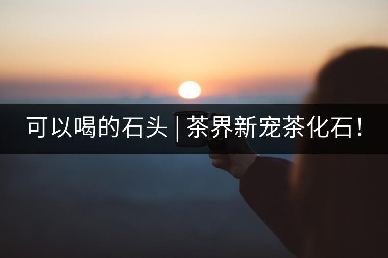 可以喝的石頭 | 茶界新寵茶化石！