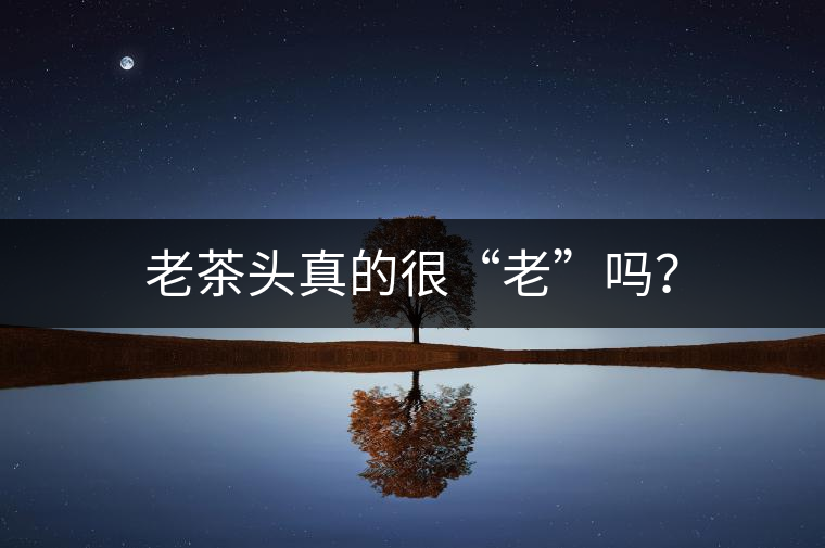 老茶頭真的很“老”嗎？