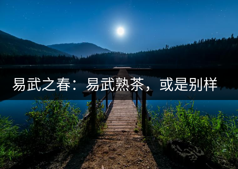 易武之春：易武熟茶，或是別樣風(fēng)采丨賞鑒