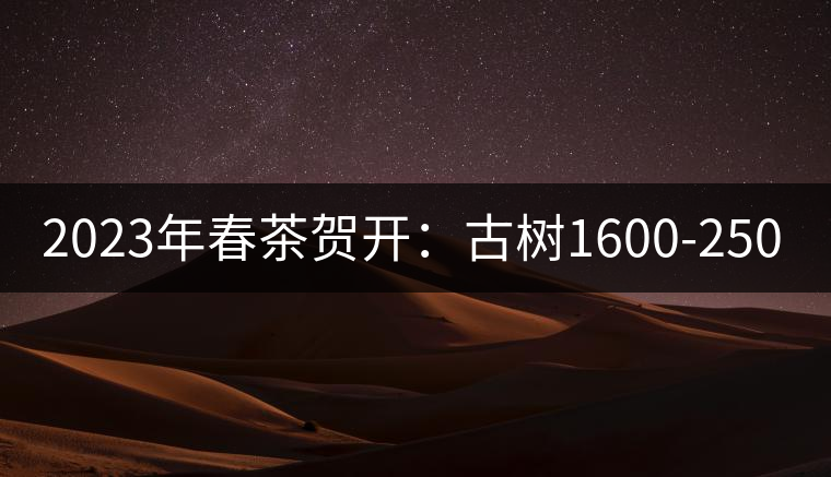 2023年春茶賀開(kāi)：古樹(shù)1600-2500元