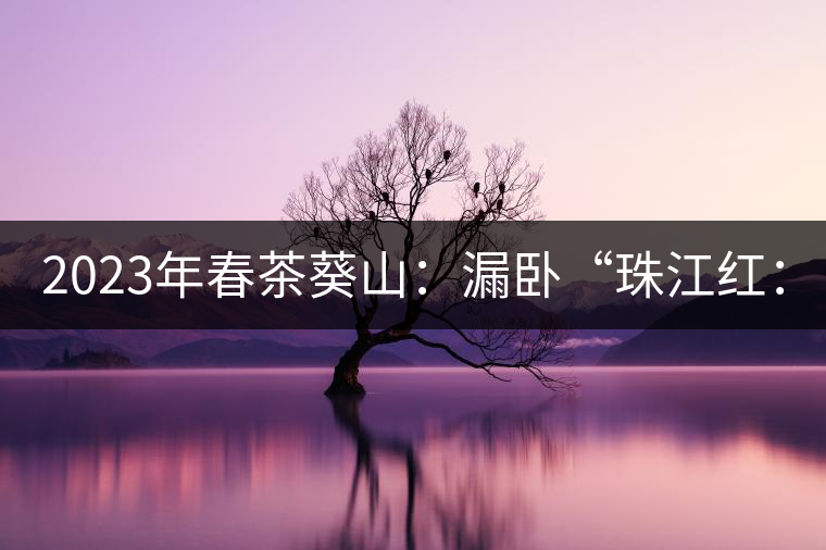 2023年春茶葵山：漏臥“珠江紅：1200元-3200元（有3個(gè)檔次）漏臥“大廠茶”：古樹單株8600-9000元／公斤，中樹4800-5200元／公斤，小樹混采2600-2800元／公斤。