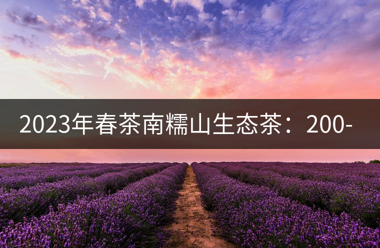2023年春茶南糯山生態(tài)茶：200-300元／公斤，古樹(shù)：900-1500元／公斤