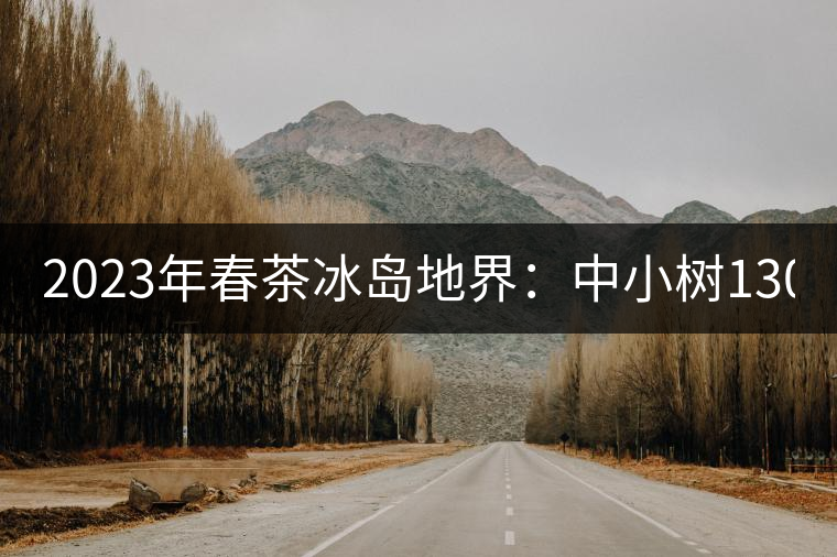 2023年春茶冰島地界：中小樹1300-1500元／公斤，古樹2200~2500元／公斤