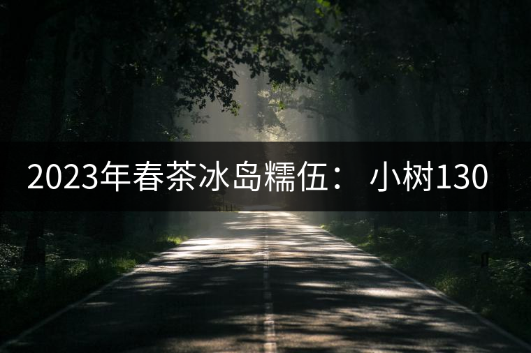 2023年春茶冰島糯伍： 小樹1300元／公斤，古樹：2100~2300元／公斤