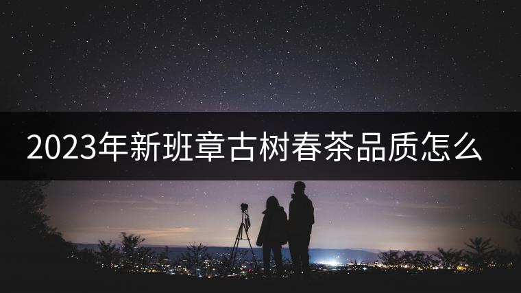 2023年新班章古樹(shù)春茶品質(zhì)怎么樣？