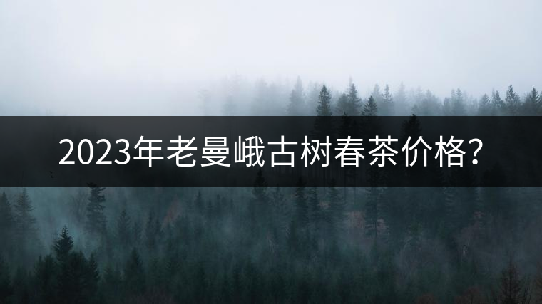2023年老曼峨古樹春茶價格？