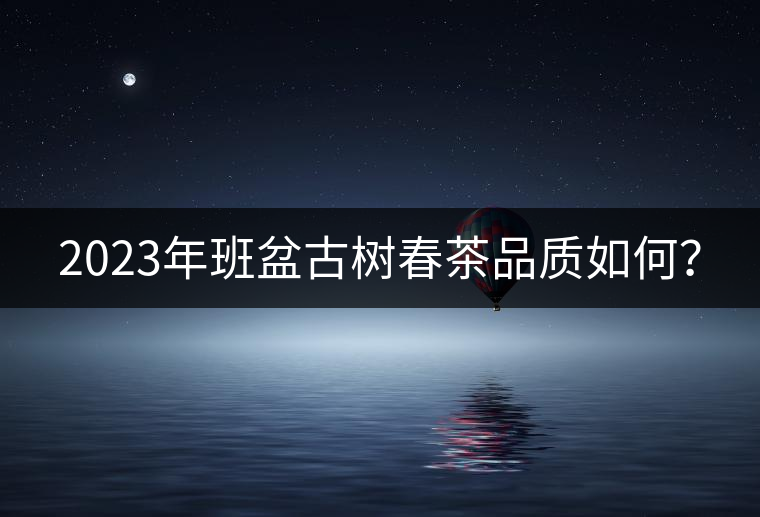 2023年班盆古樹春茶品質如何？