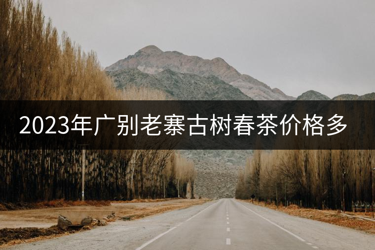 2023年廣別老寨古樹春茶價格多少？