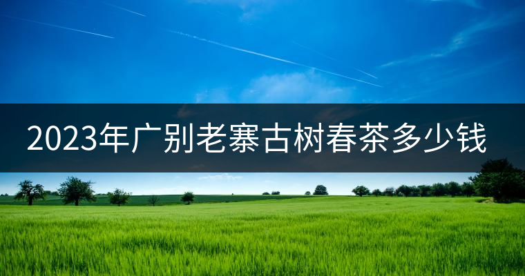 2023年廣別老寨古樹(shù)春茶多少錢(qián)一公斤？