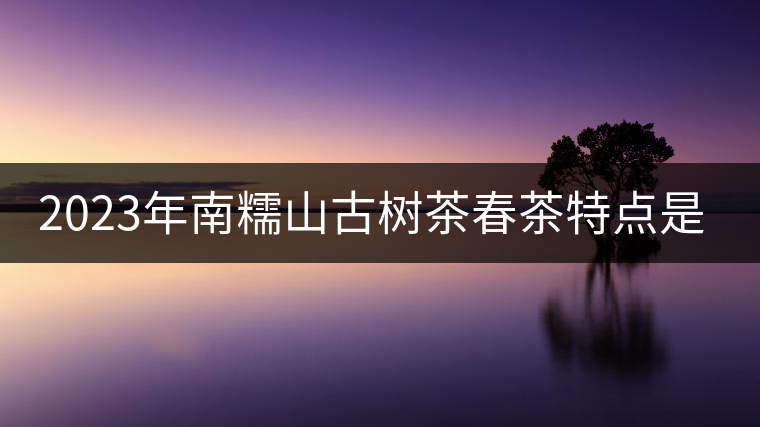 2023年南糯山古樹茶春茶特點是什么？
