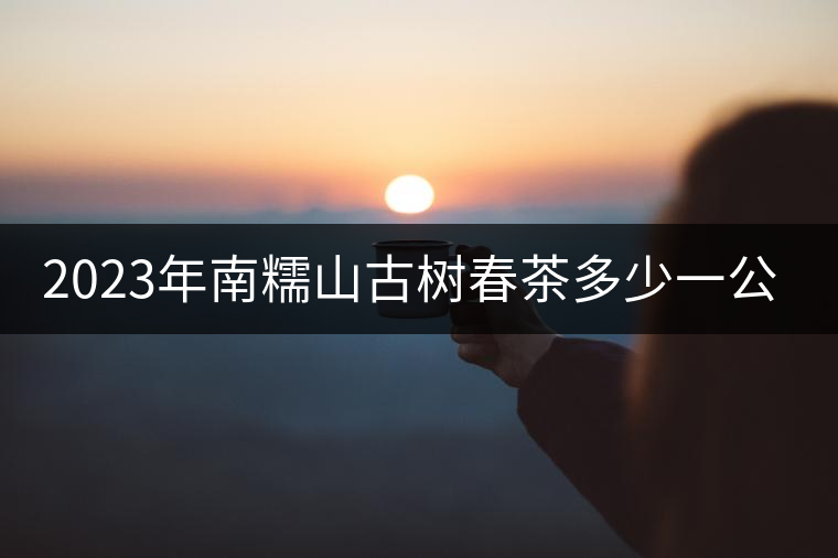 2023年南糯山古樹春茶多少一公斤？