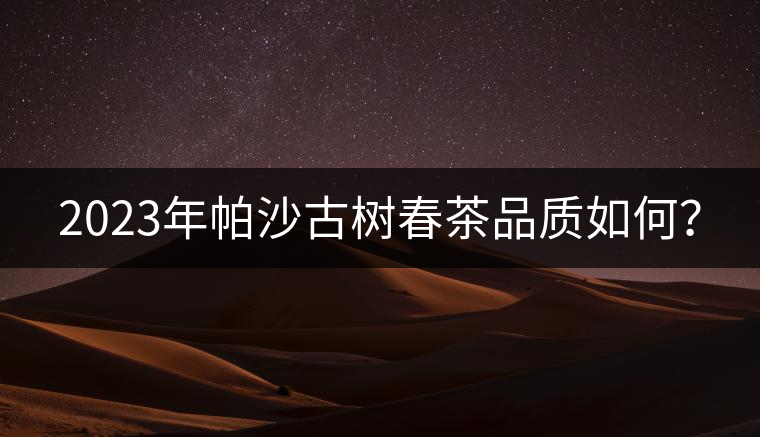 2023年帕沙古樹春茶品質(zhì)如何？