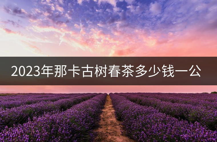 2023年那卡古樹春茶多少錢一公斤？