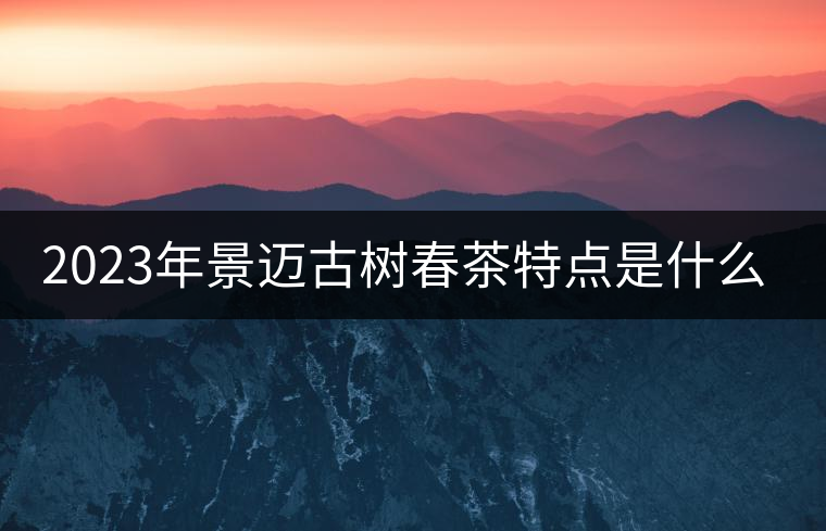2023年景邁古樹(shù)春茶特點(diǎn)是什么？