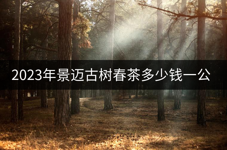 2023年景邁古樹春茶多少錢一公斤？
