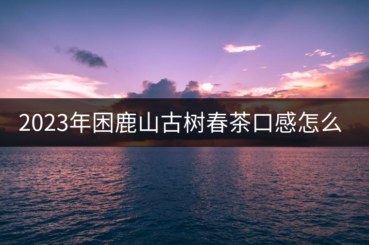 2023年困鹿山古樹春茶口感怎么樣？