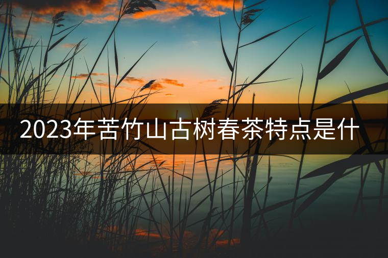 2023年苦竹山古樹春茶特點是什么？