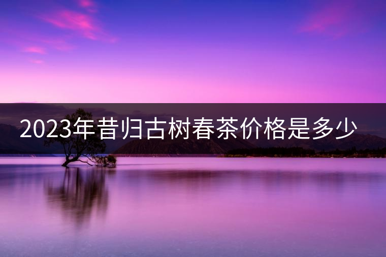 2023年昔歸古樹(shù)春茶價(jià)格是多少？