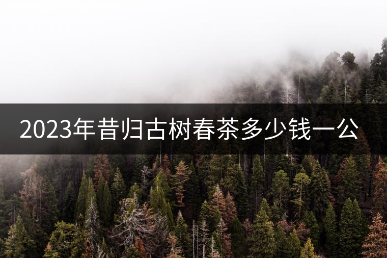 2023年昔歸古樹春茶多少錢一公斤？