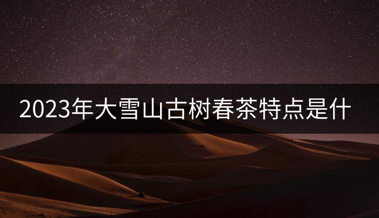 2023年大雪山古樹春茶特點是什么？