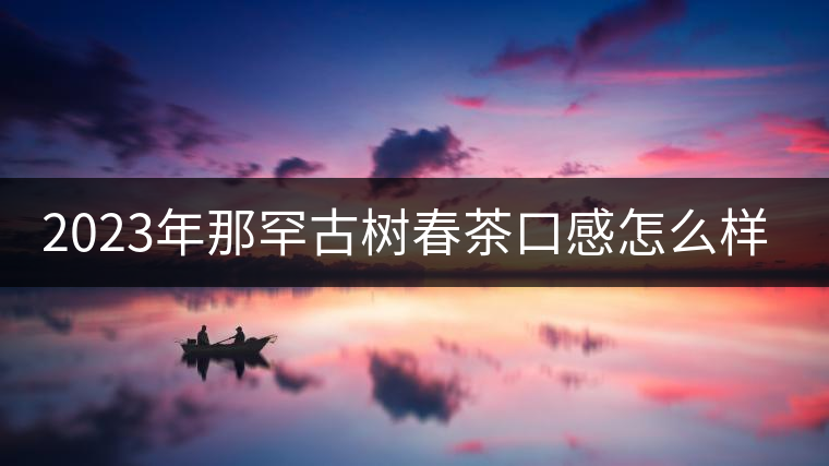 2023年那罕古樹春茶口感怎么樣？