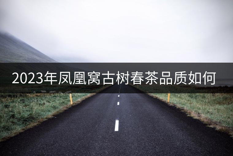 2023年鳳凰窩古樹春茶品質(zhì)如何？