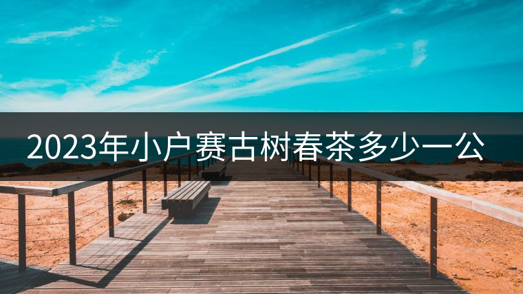 2023年小戶賽古樹(shù)春茶多少一公斤？