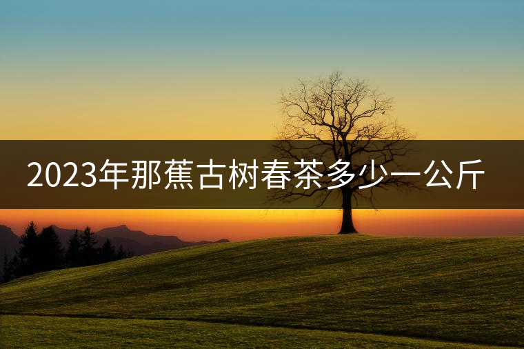 2023年那蕉古樹春茶多少一公斤？
