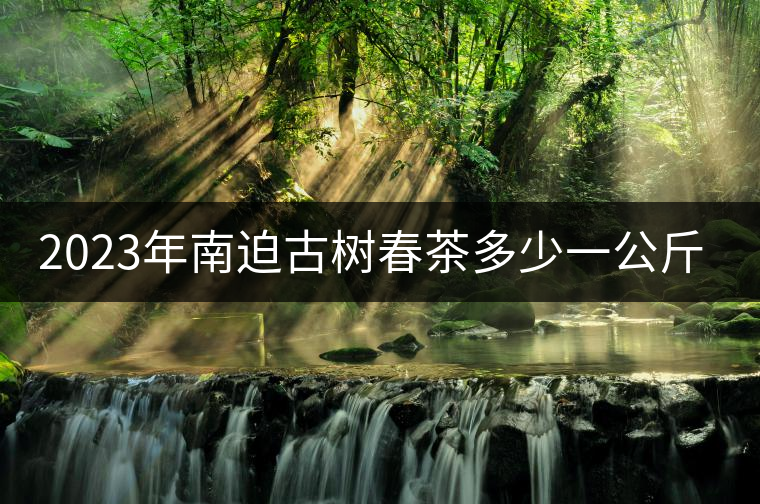 2023年南迫古樹春茶多少一公斤？