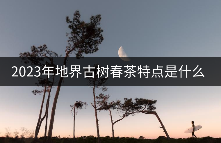 2023年地界古樹春茶特點是什么？